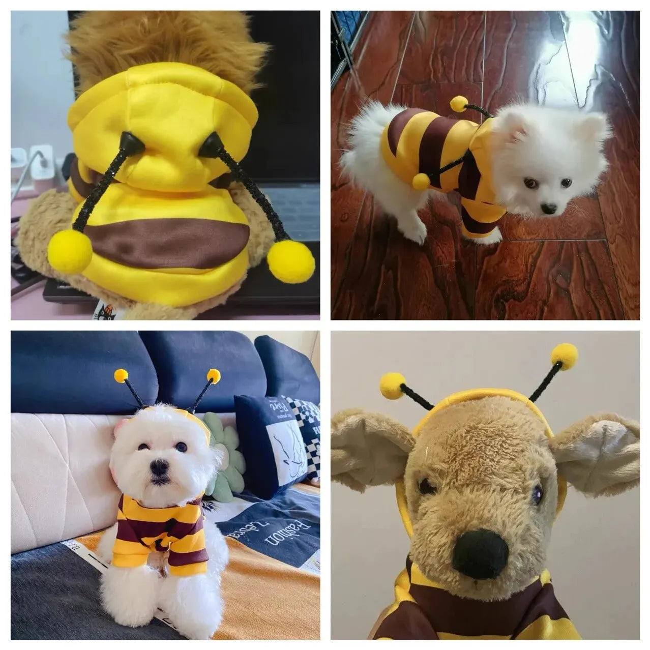 Bee Transformation Dog & Cat Hoodie