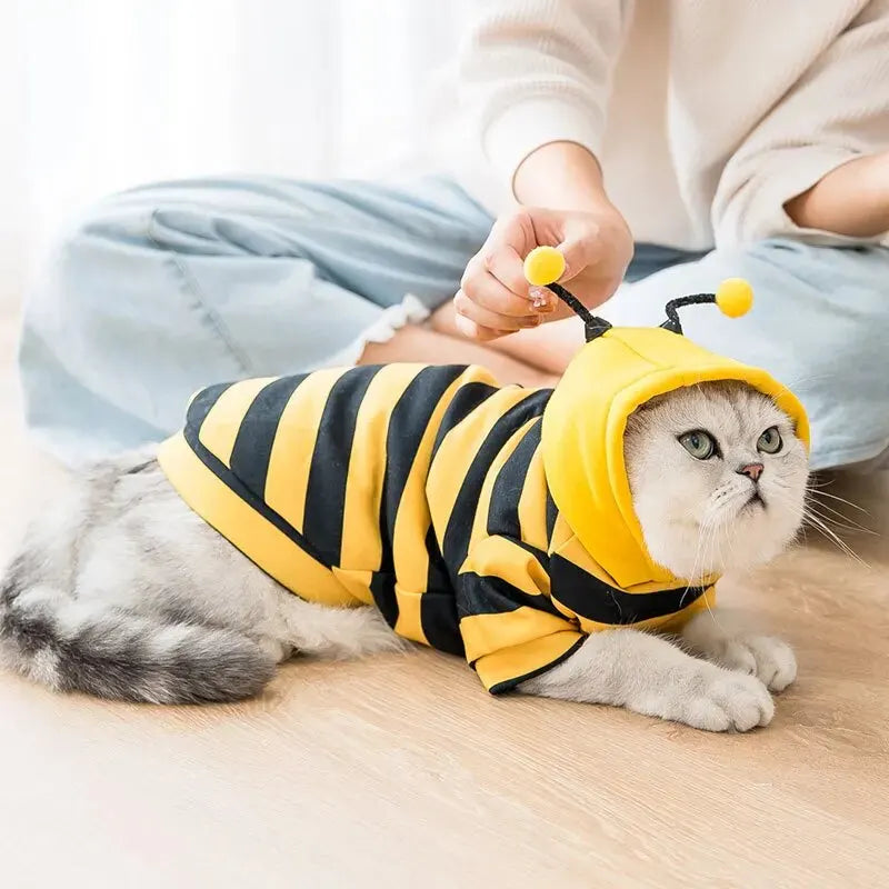 Bee Transformation Dog & Cat Hoodie