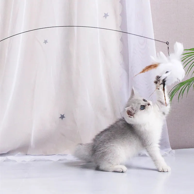 Interactive Feather Cat Toy with Suction Cup: Bite-Resistant Teaser for Endless Fun