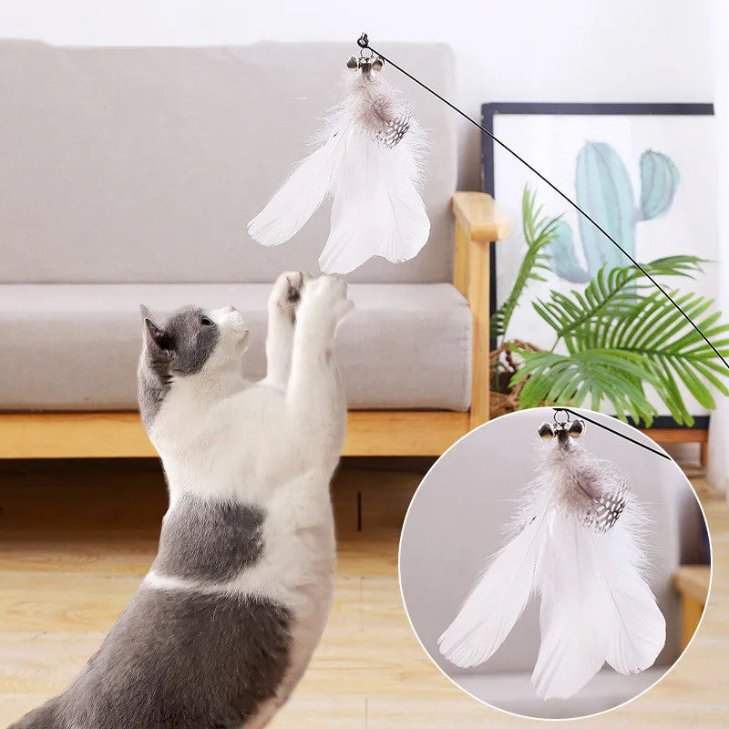 Interactive Feather Cat Toy with Suction Cup: Bite-Resistant Teaser for Endless Fun