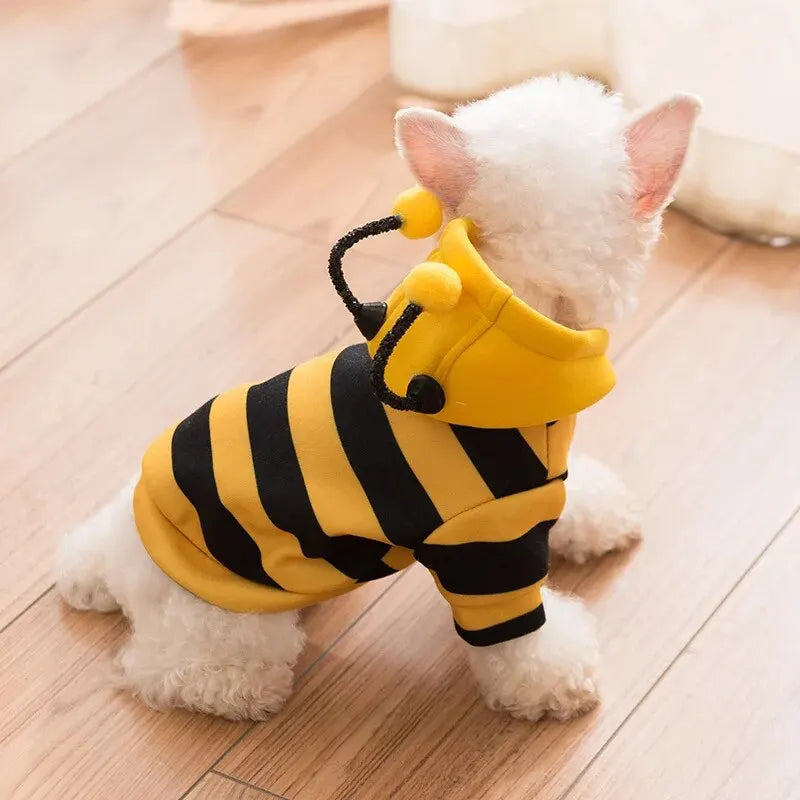 Bee Transformation Dog & Cat Hoodie